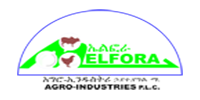 Elfora