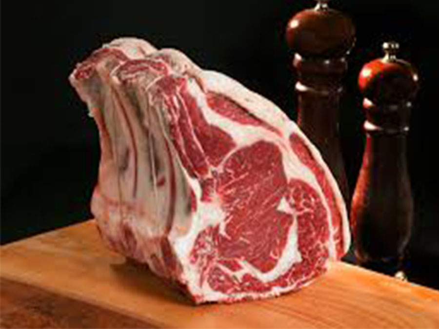 Fore Rib